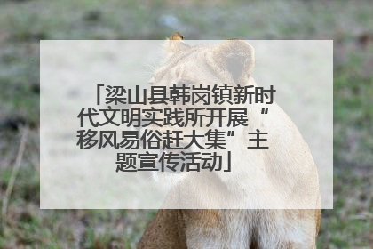 梁山县韩岗镇新时代文明实践所开展“移风易俗赶大集”主题宣传活动