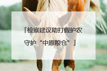 检察建议助打假护农守护“中原粮仓”