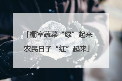 棚室蔬菜“绿”起来 农民日子“红”起来