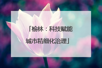 榆林：科技赋能城市精细化治理