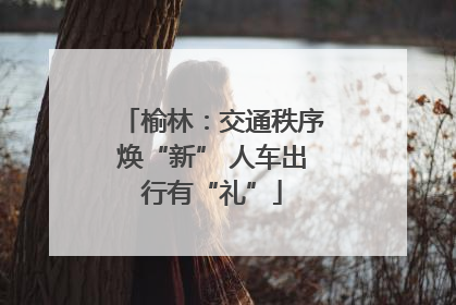 榆林：交通秩序焕“新” 人车出行有“礼”
