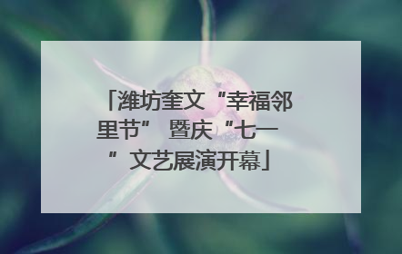 潍坊奎文“幸福邻里节” 暨庆“七一”文艺展演开幕