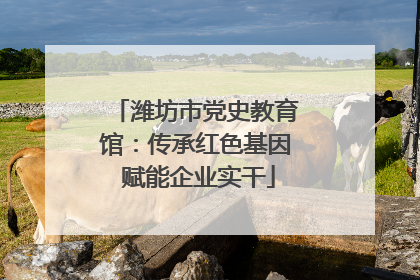 潍坊市党史教育馆：传承红色基因 赋能企业实干