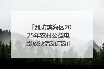 潍坊滨海区2025年农村公益电影放映活动启动
