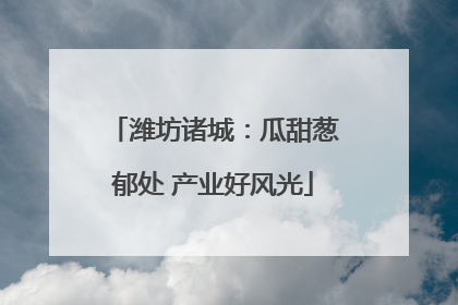 潍坊诸城：瓜甜葱郁处 产业好风光