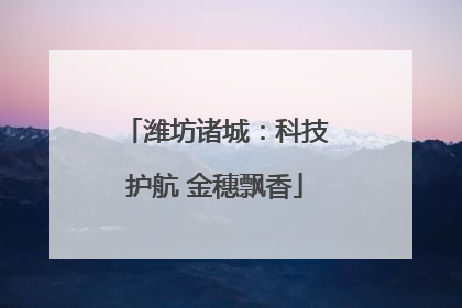 潍坊诸城：科技护航 金穗飘香