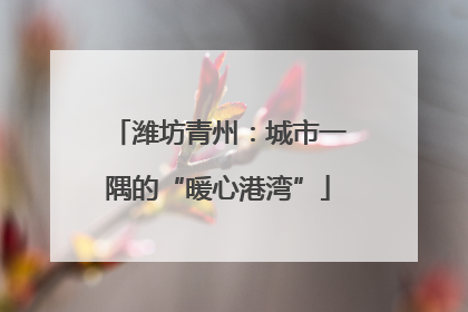 潍坊青州：城市一隅的“暖心港湾”