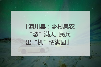 潢川县：乡村果农“愁”满天  民兵出“机”情满园