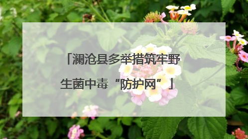 澜沧县多举措筑牢野生菌中毒“防护网”