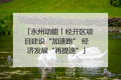 永州动能丨经开区项目建设“加速跑” 经济发展“再提速”
