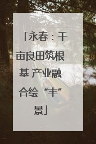 永春：千亩良田筑根基 产业融合绘“丰”景