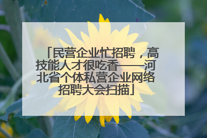 民营企业忙招聘，高技能人才很吃香——河北省个体私营企业网络招聘大会扫描