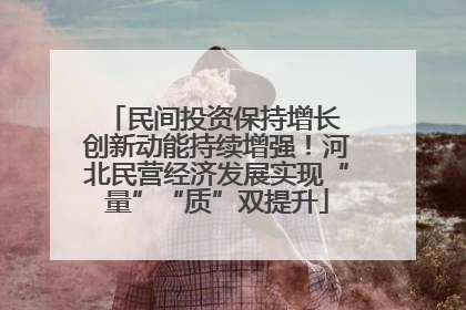 民间投资保持增长 创新动能持续增强！河北民营经济发展实现“量”“质”双提升