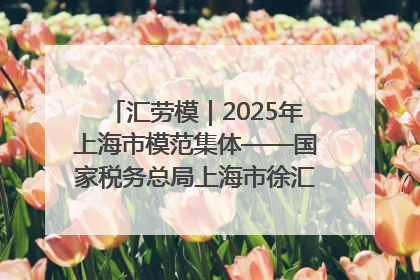 汇劳模｜2025年上海市模范集体——国家税务总局上海市徐汇区税务局第一税务所