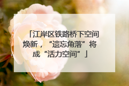 江岸区铁路桥下空间焕新，“遗忘角落”将成“活力空间”