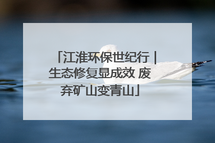 江淮环保世纪行｜生态修复显成效 废弃矿山变青山