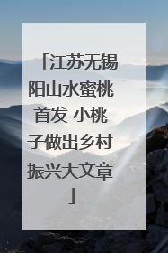 江苏无锡阳山水蜜桃首发 小桃子做出乡村振兴大文章