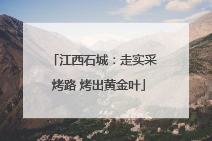 江西石城：走实采烤路 烤出黄金叶