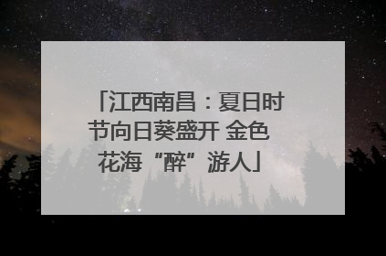 江西南昌：夏日时节向日葵盛开 金色花海“醉”游人