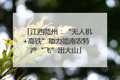 江西赣州：“无人机+高铁”助力赣南农特产“飞”出大山