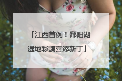江西首例！鄱阳湖湿地彩鹮喜添新丁