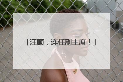 汪顺，连任副主席！