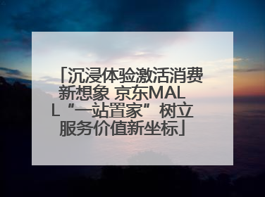 沉浸体验激活消费新想象 京东MALL“一站置家”树立服务价值新坐标