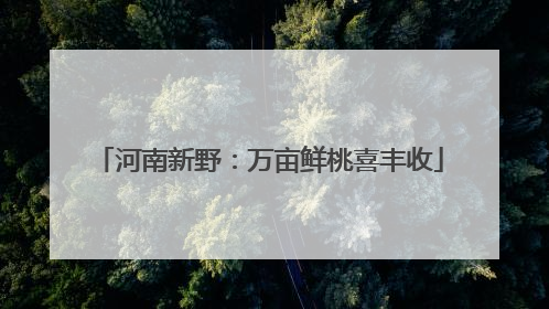 河南新野：万亩鲜桃喜丰收