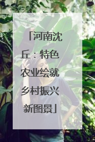 河南沈丘：特色农业绘就乡村振兴新图景