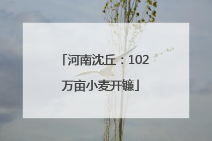 河南沈丘：102 万亩小麦开镰