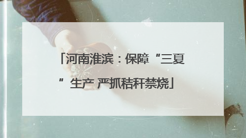 河南淮滨：保障“三夏”生产 严抓秸秆禁烧