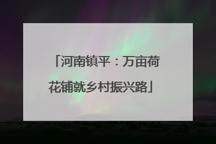河南镇平：万亩荷花铺就乡村振兴路