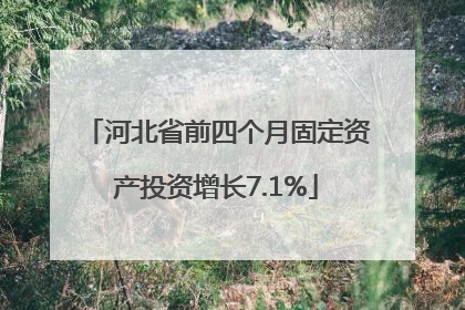 河北省前四个月固定资产投资增长7.1%