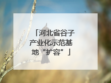 河北省谷子产业化示范基地“扩容”