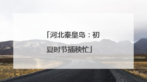 河北秦皇岛：初夏时节插秧忙