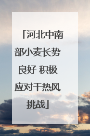 河北中南部小麦长势良好 积极应对干热风挑战