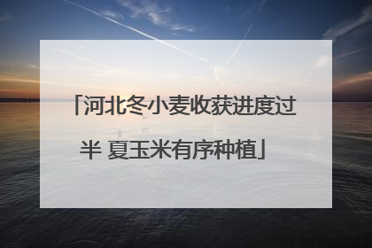 河北冬小麦收获进度过半 夏玉米有序种植
