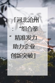 河北沧州：“组合拳”精准发力 助力企业创新突破