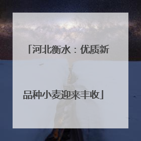 河北衡水：优质新品种小麦迎来丰收