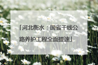 河北衡水：国省干线公路养护工程全面提速
