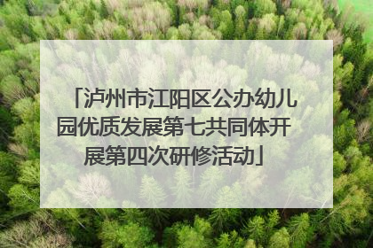 泸州市江阳区公办幼儿园优质发展第七共同体开展第四次研修活动