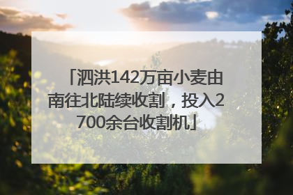 泗洪142万亩小麦由南往北陆续收割，投入2700余台收割机