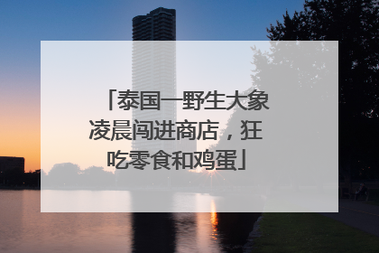 泰国一野生大象凌晨闯进商店，狂吃零食和鸡蛋
