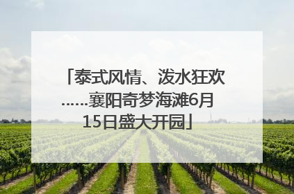 泰式风情、泼水狂欢……襄阳奇梦海滩6月15日盛大开园