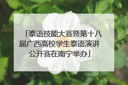 泰语技能大赛暨第十八届广西高校学生泰语演讲公开赛在南宁举办