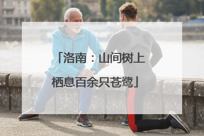 洛南：山间树上栖息百余只苍鹭
