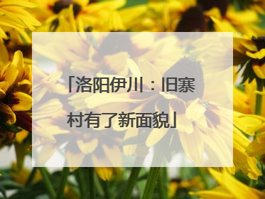 洛阳伊川：旧寨村有了新面貌