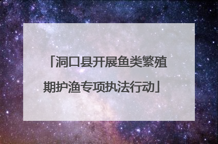 洞口县开展鱼类繁殖期护渔专项执法行动