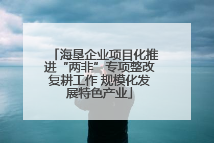 海垦企业项目化推进“两非”专项整改复耕工作 规模化发展特色产业