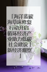 海洋蓝碳海草床修复行动开启 循环经济产业助力低碳社会建设丨新经济观察
